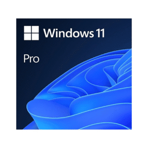 Microsoft Windows 11 Professional Single-User ESD License